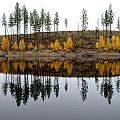 Autumn Reflection