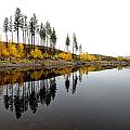 Autumn Reflection Horizon
