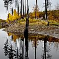 Autumn Reflection Vertical