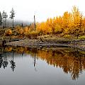 Shoreline and Trees in Autumn